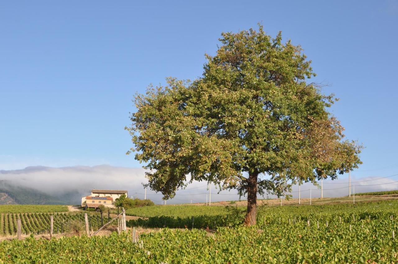 Gite Le Pot De Vin Lancie Exterior photo